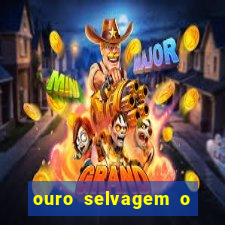 ouro selvagem o que aconteceu na vida